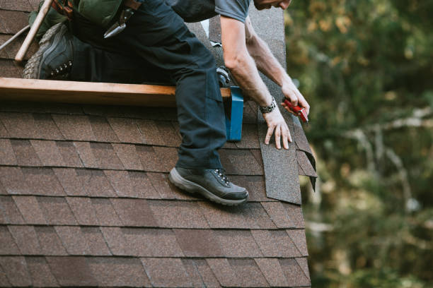 Best Roof Gutter Cleaning  in Golf Manor, OH